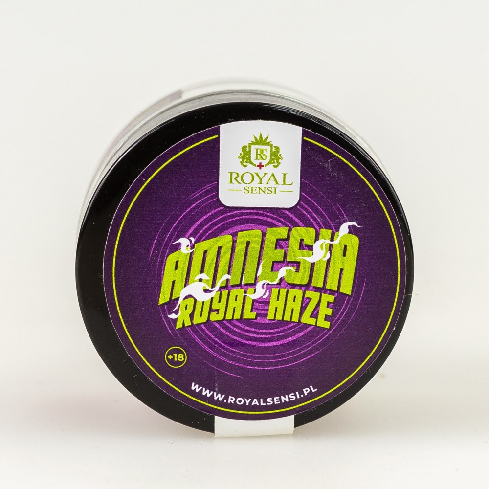 Susz Konopny CBD Amnesia Royal Haze TOP CBD 1g Jamaican Shop