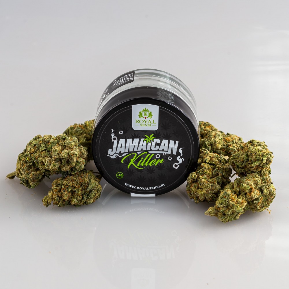 Susz Konopny Cbd Jamaican Killer Royal Sensi G Jamaican Shop